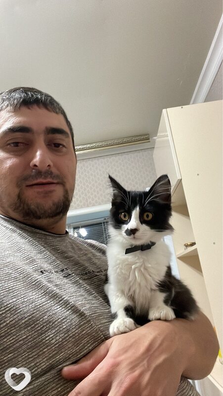Артёмий
