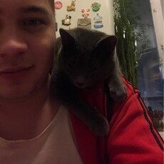 Гаврик