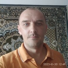 Всеволод