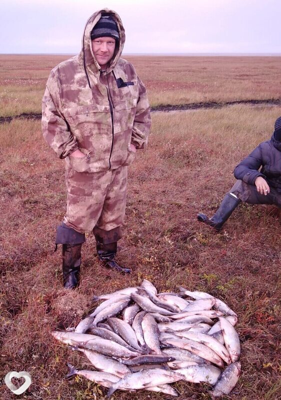 Стёпа