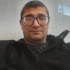 Лев