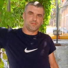 Лев