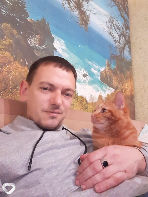 Платон