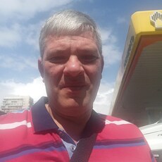 Лев
