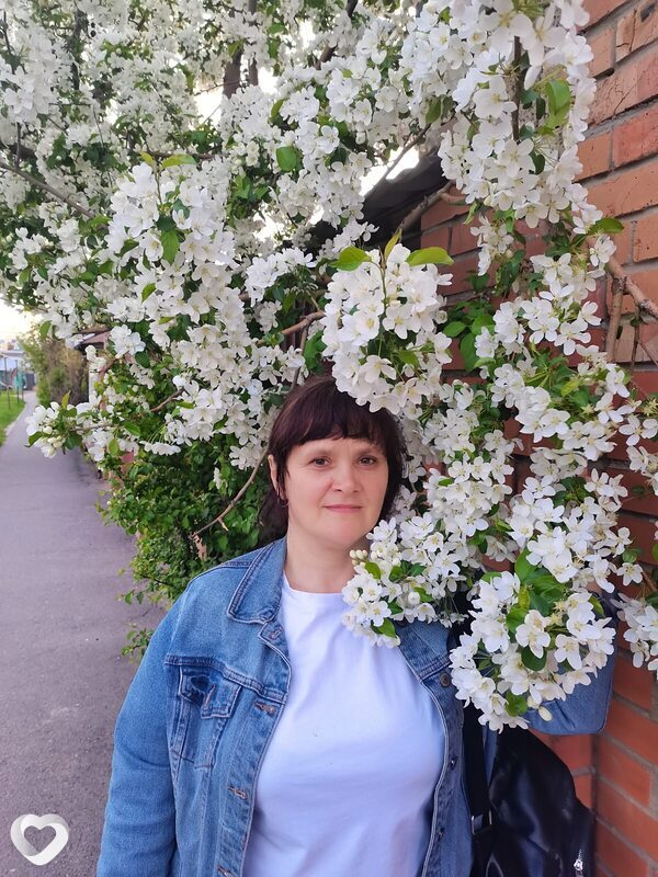Роза