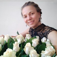 Роза