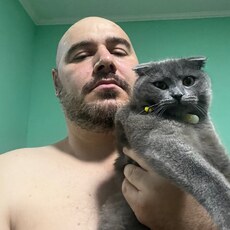 Альбик