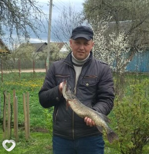 Гена