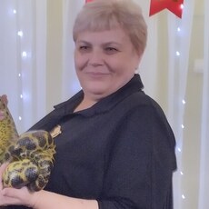 Вита
