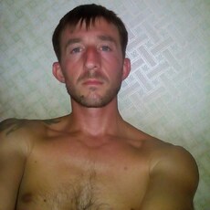Всеволод