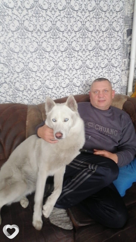 Нестор