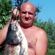 Платоша