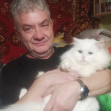 Платоша
