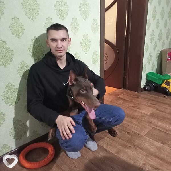 Нестор