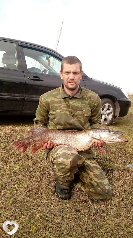 Вова