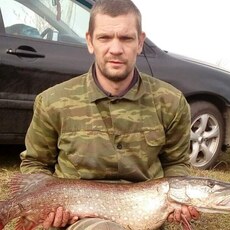 Вова