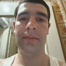 Лев