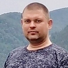 Гена