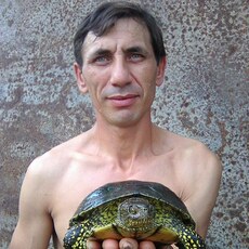 Артемий