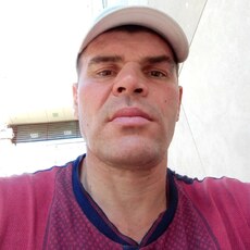 Давид