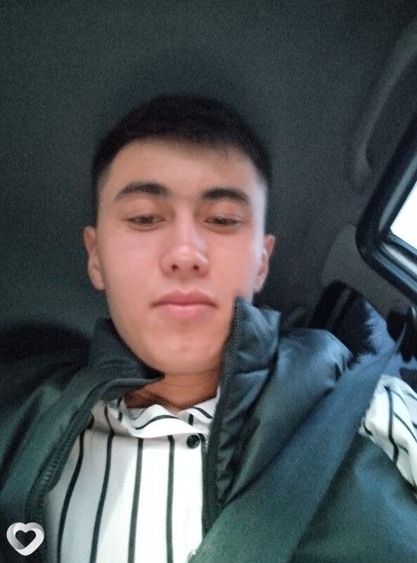 Альбик