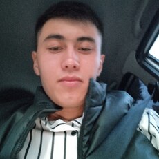 Альбик