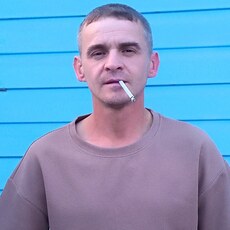 Демид
