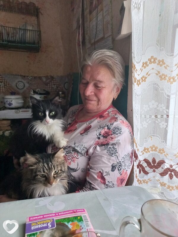 Лина