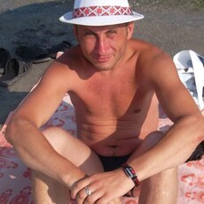 Всеволод
