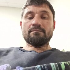 Нестор