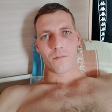Всеволод