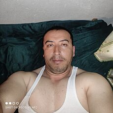 Альбик