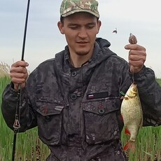Давид