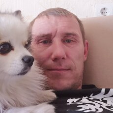 Стёпа