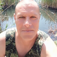Лев