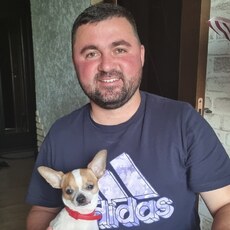 Миша