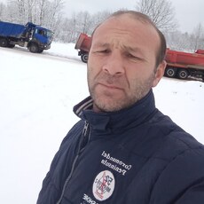 Нестор