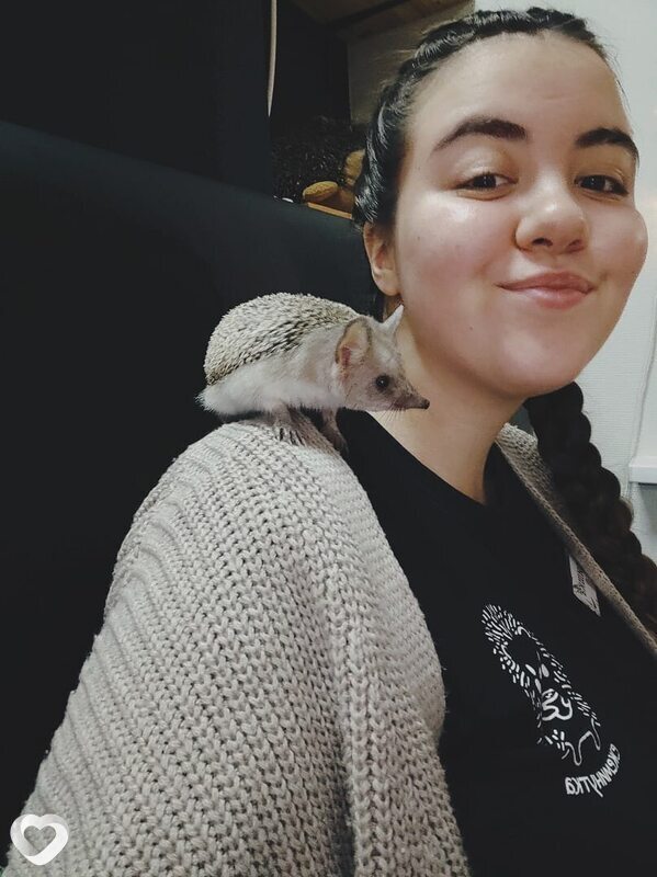 Васса