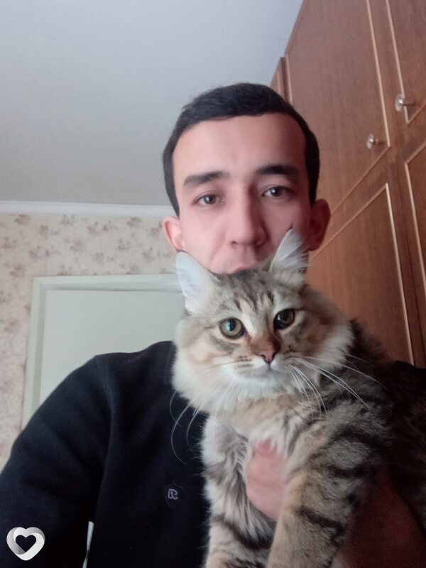 Аркадий