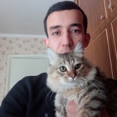Аркадий