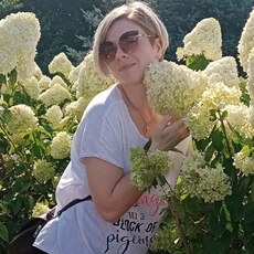 Алиса