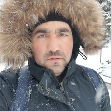 Тарас