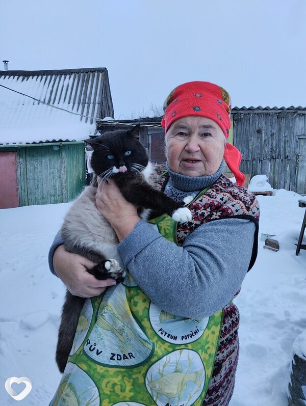 Нэса