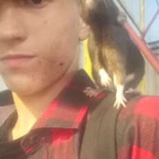 Дима