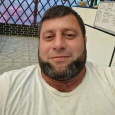Всеволод
