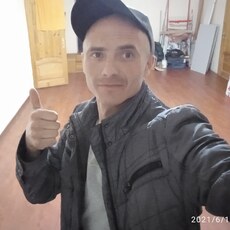 Альбик