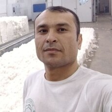 Боря