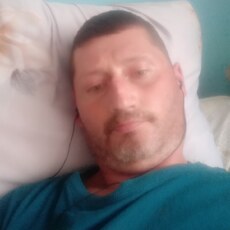 Альбик
