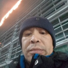 Гаврик