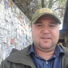 Тим